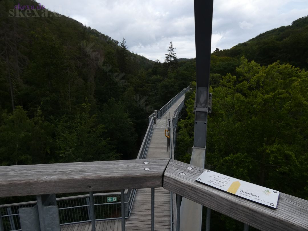 20200824_DE-Harz_Bad-Harzburg_P1010388_Baumwipfelpfad
