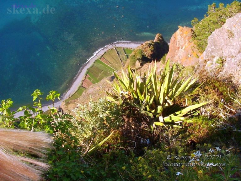 Steilklippe Cabo Girão - 2005 Madeira
Bei meiner Madeira-Reise 2005 machte ich auch eine Aufnahme vom Cabo Girao mit Blick hinab zum Atlantik und auf die landwirtschaftlich genutzten Terassenfelder.

Die beeindruckende Steilklippe ist absolut sehenswert. Sie liegt in der Nähe der Ortschaft Camara de Lobos im Süden von Madeira und ist mit einer Höhe von 560 -589 m eine der höchsten Steilklippen der Europäischen Union

Damals -2005- gab es dort keinen skywalk, aber man konnte ganz nah an den Klippenrand gehen; ein grandioser Ausblick und Blick na
