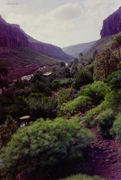 1987_Neg-07_PIC_0453_Gran_Canaria
Schlüsselwörter: 1987;Gran Canaria