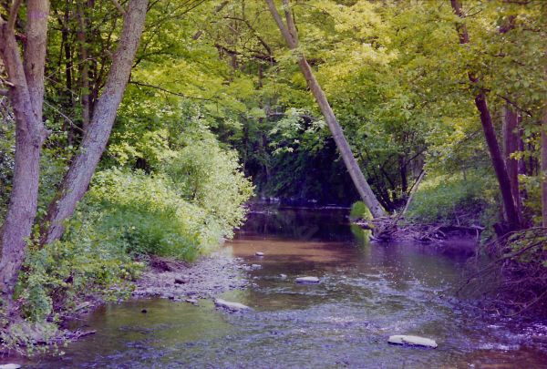 PIC_0207
1990_radtour_rotter-see-mosel
