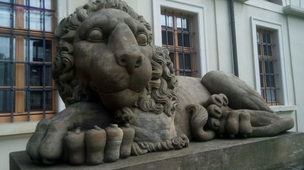 Schloss-Löwe Weimar
2016 Tour Weimar
