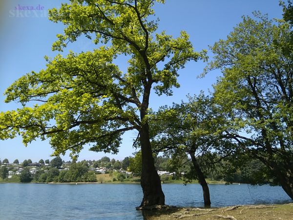 Ein ruhiger Platz an der Bevertalsperre
2018 BU
