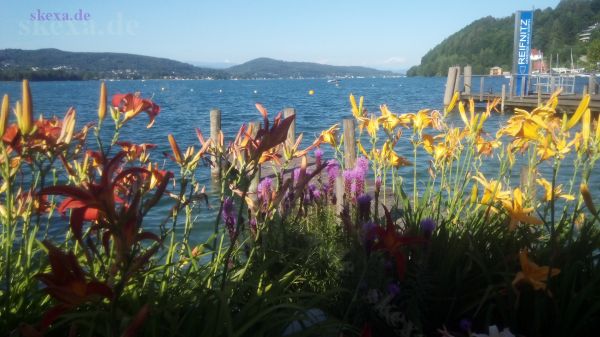 Lilien am Wörthersee
2015 [IMG_20150710_180700]
