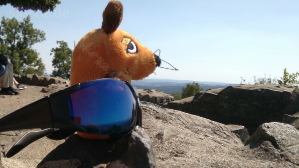 die Maus auf der Burgruine Löwenburg
2019 Siebengebirge
