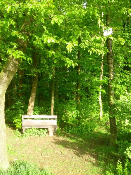 Ruheplatz "An der Jakobshecke" für die Abendsonne - Troisdorf - Siegaue
2014 - am Feldweg zum Sieglarer See nahe Meindorfer Strasse
