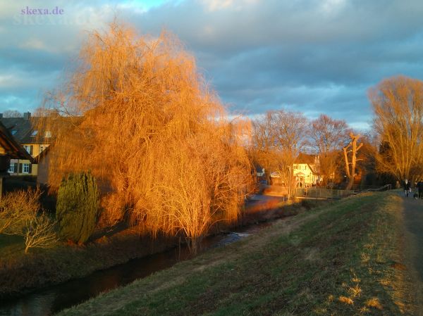 Troisdorf - Friedrich-Wilhelms-Hütte - Mühlengraben mit Trauerweide in der Winter-Abendsonne
